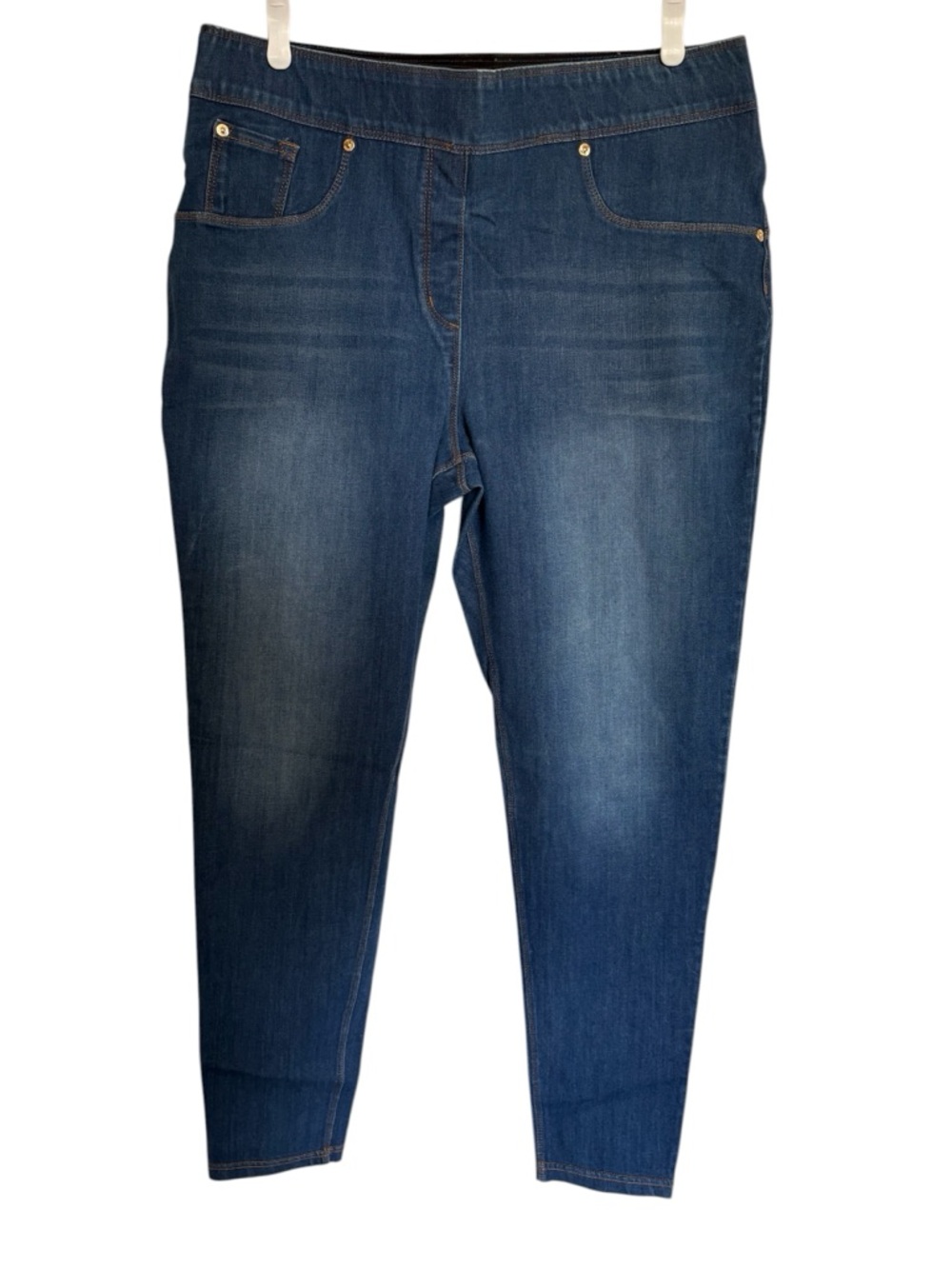 Peter Nygard Indigo Stretch Jeggings